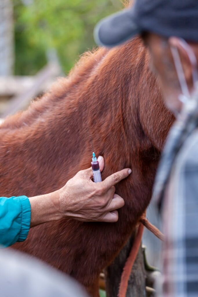Close-up of a veterinarian injecting a horse, focused on hand and syringe.